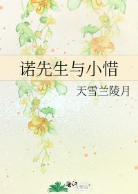 诺先生与小惜